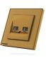 double telephone socket gold