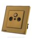 tv fm sat socket gold